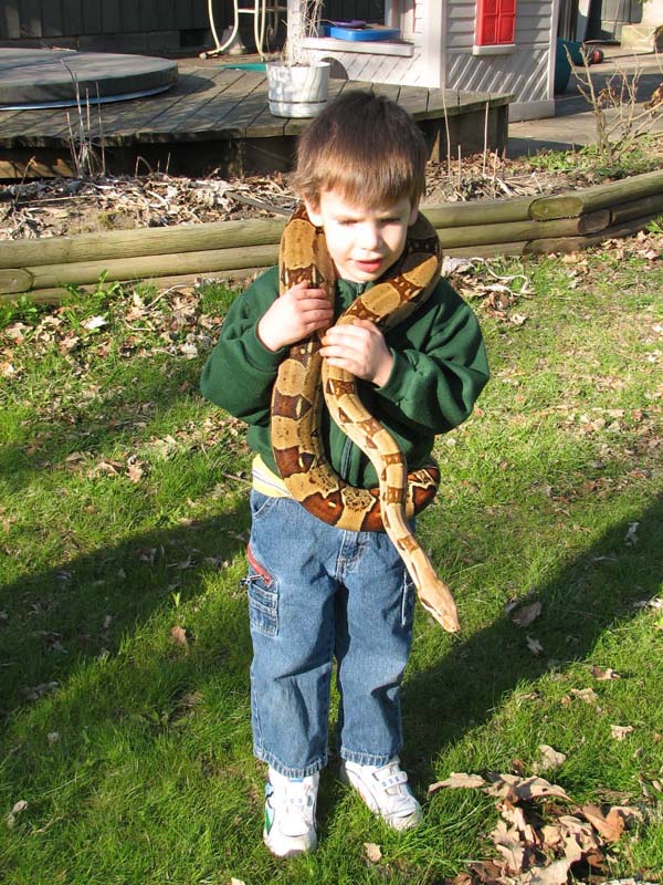 http://www.mccarthyboas.com/images/Kids_Snakes_4_2007_13.jpg