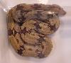 Pro Exotics Suriname Boa