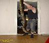 Photo By Tony Jarl of his yellow anaconda.