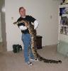 Photo by Steve Scroggs of his big female BCI boa.