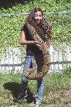 Photo by Daniel of his Male BCC boa that is 9 years old and 9 feet 7 inches long.