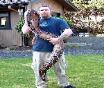 Photo By Ed Lilley of www.constrictorsnw.com with his 55 lbs Female Suriname named Big Bertha.